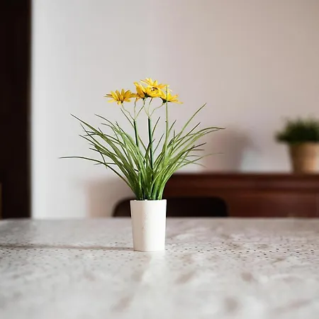 Casa Honoria Amplio, Con Vistas Y Parking - Arafita Эскаррилья