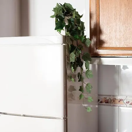 アパート Casa Honoria Amplio, Con Vistas Y Parking - Arafita エスカリリャ